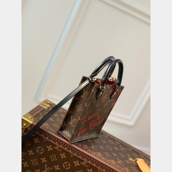 Louis Vuitton Designer Petit Sac Plat Fla Flat Show N69442 Borsa finta-2