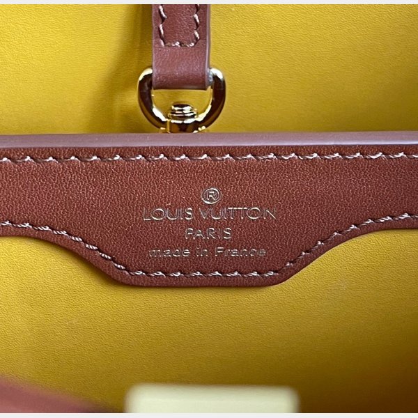 Louis Vuitton Replica M48865 Capucins Ricamo con marrone arancione-12