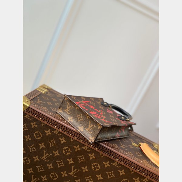 Louis Vuitton Designer Petit Sac Plat Fla Flat Show N69442 Borsa finta-3