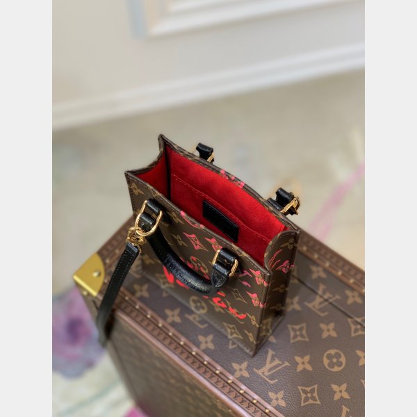 Louis Vuitton Designer Petit Sac Plat Fla Flat Show N69442 Borsa finta-7